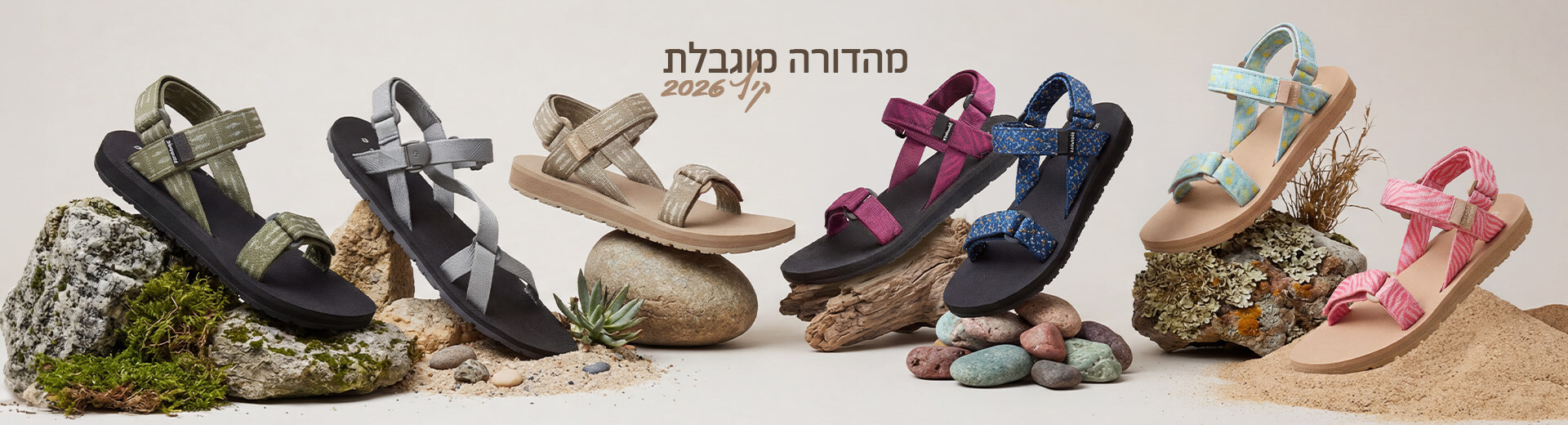 שורש במהדורה מוגבלת